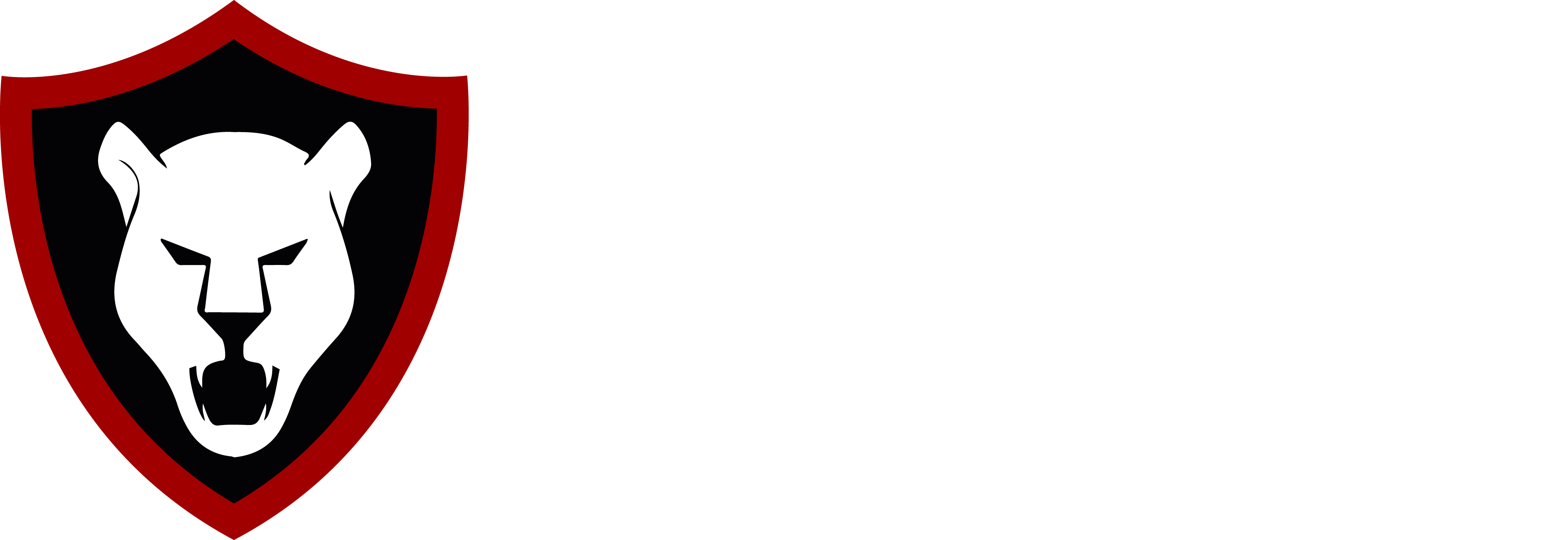 Bvk Security